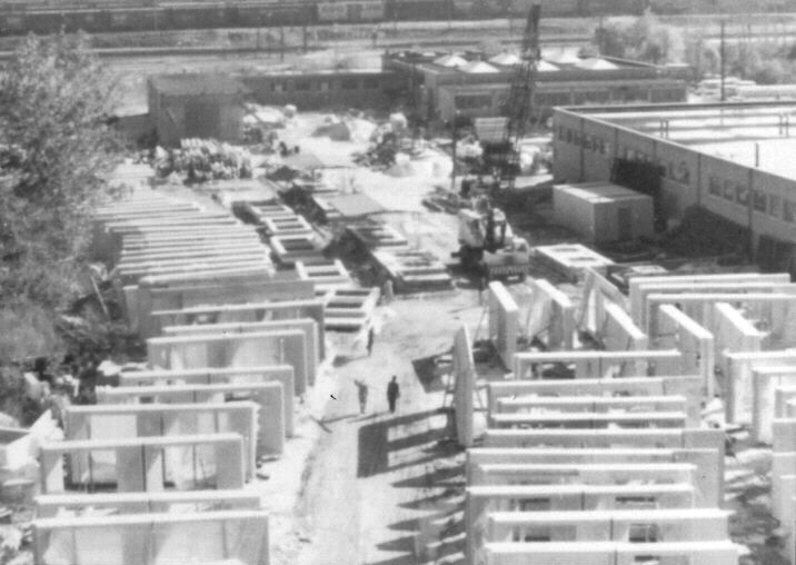 Alexandria Plant
